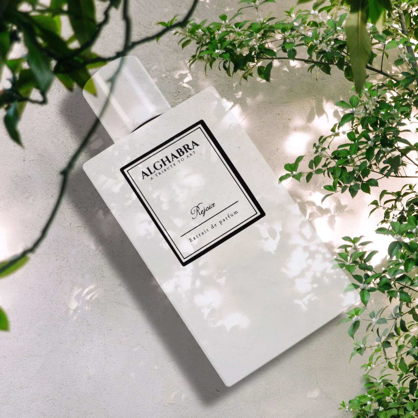 Alghabra A Tribute To Art Rejoice Perfume For Unisex Extrait De Parfum 50ml - Image 2