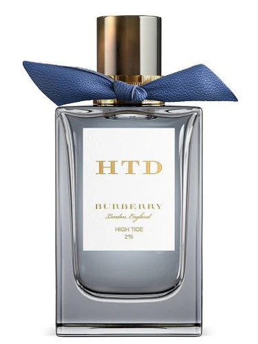 Burberry London England High Tide 2% EDP For Unisex 150ml