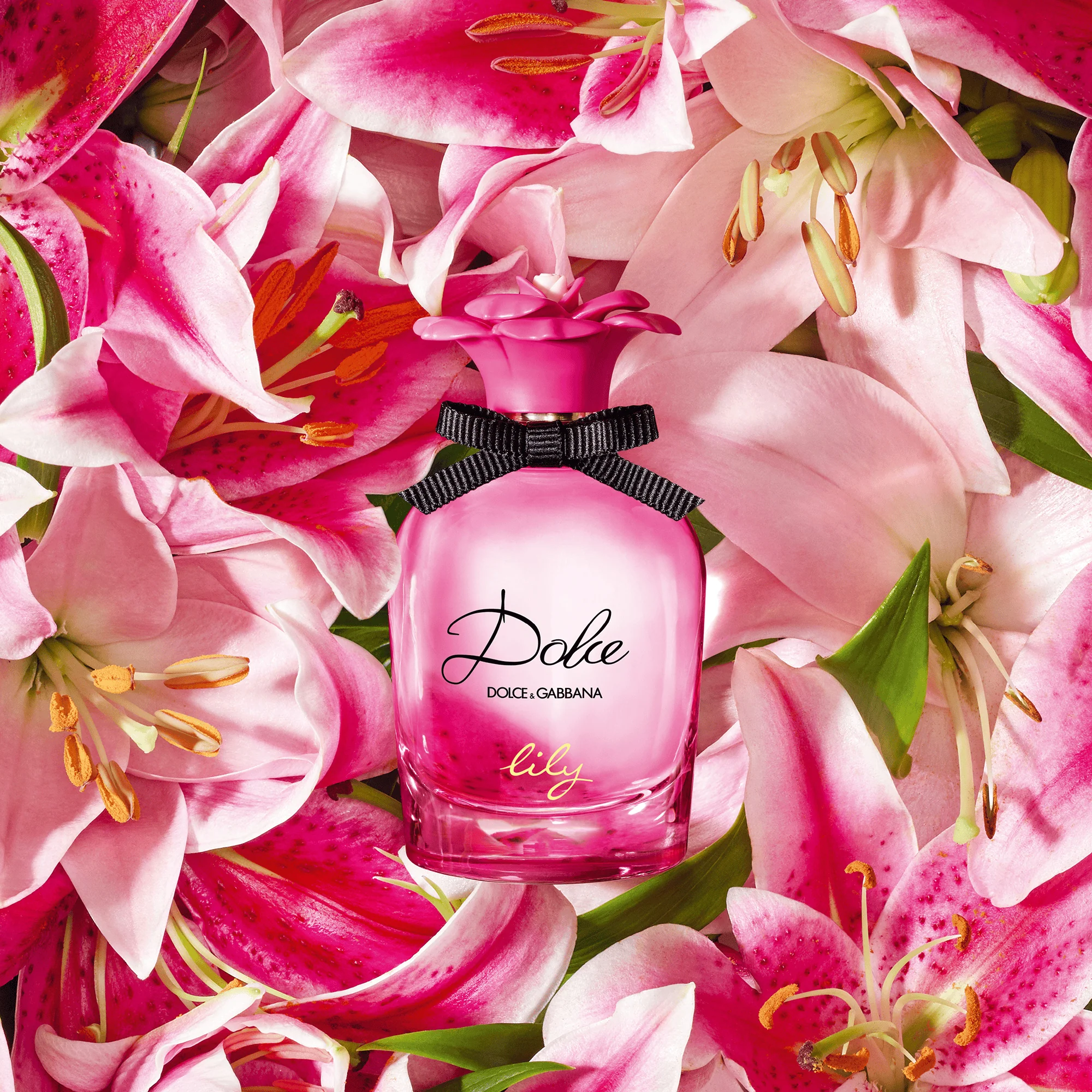 Dolce & Gabbana Dolce Lily Perfume For Women EDT 75ml - Image 3