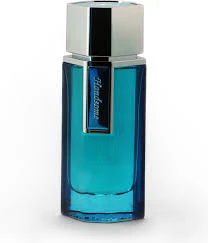 Saint Hilaire Handsome Men Edp 100ml