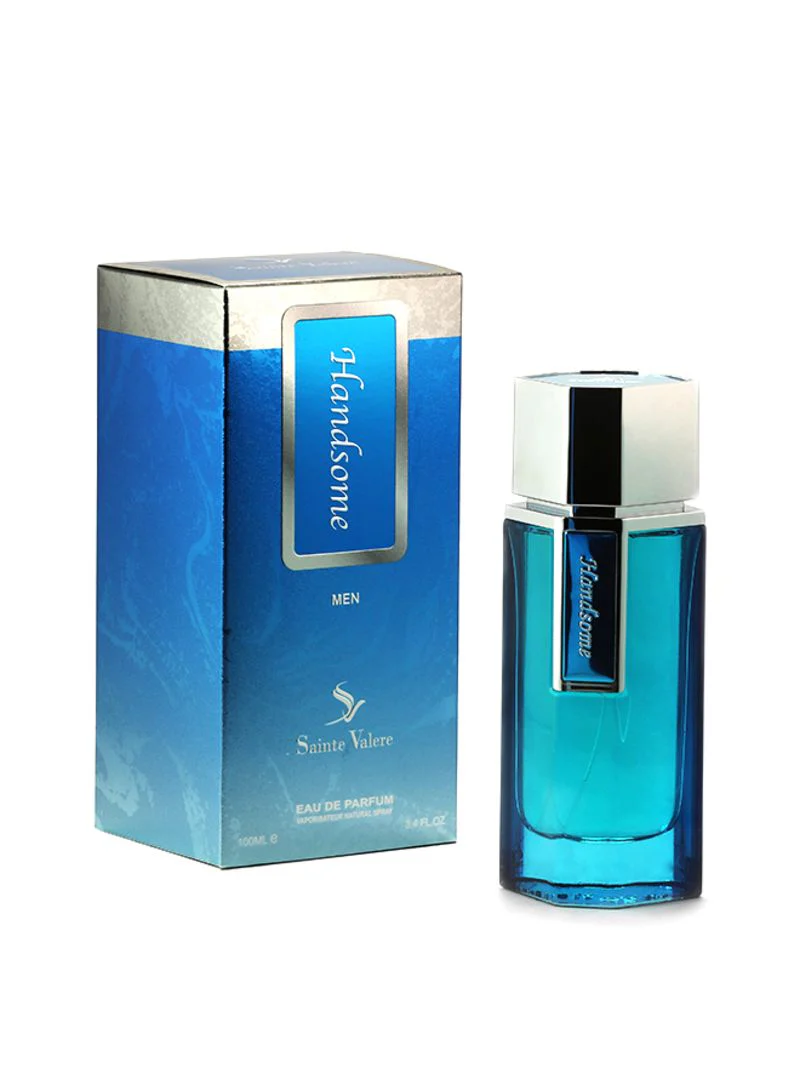 Saint Hilaire Handsome Men Edp 100ml - Image 2