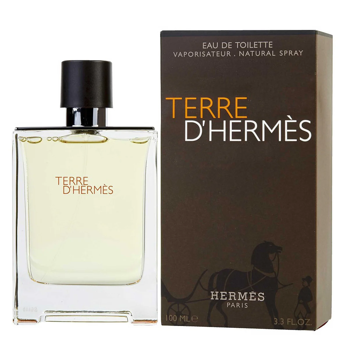 Hermes Terre D' Hermes for Men - Eau de Toillette, 100ml