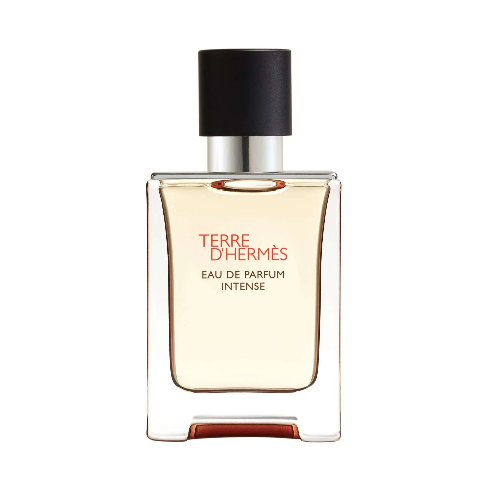 Hermes Terre D'Hermes Perfume For Men EDP Intense 50ml Refillable