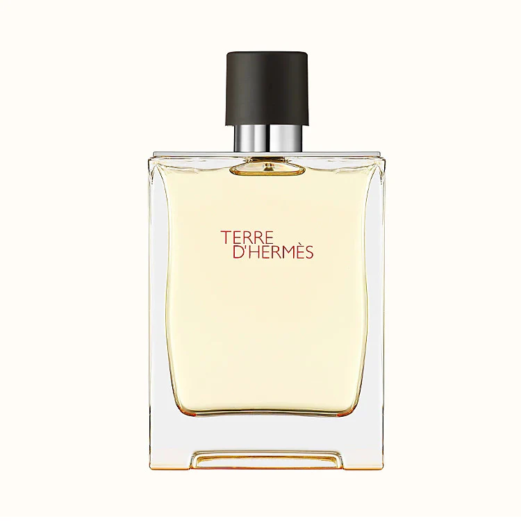 Hermes Terre D'Hermes Perfume For Men EDT 200ml