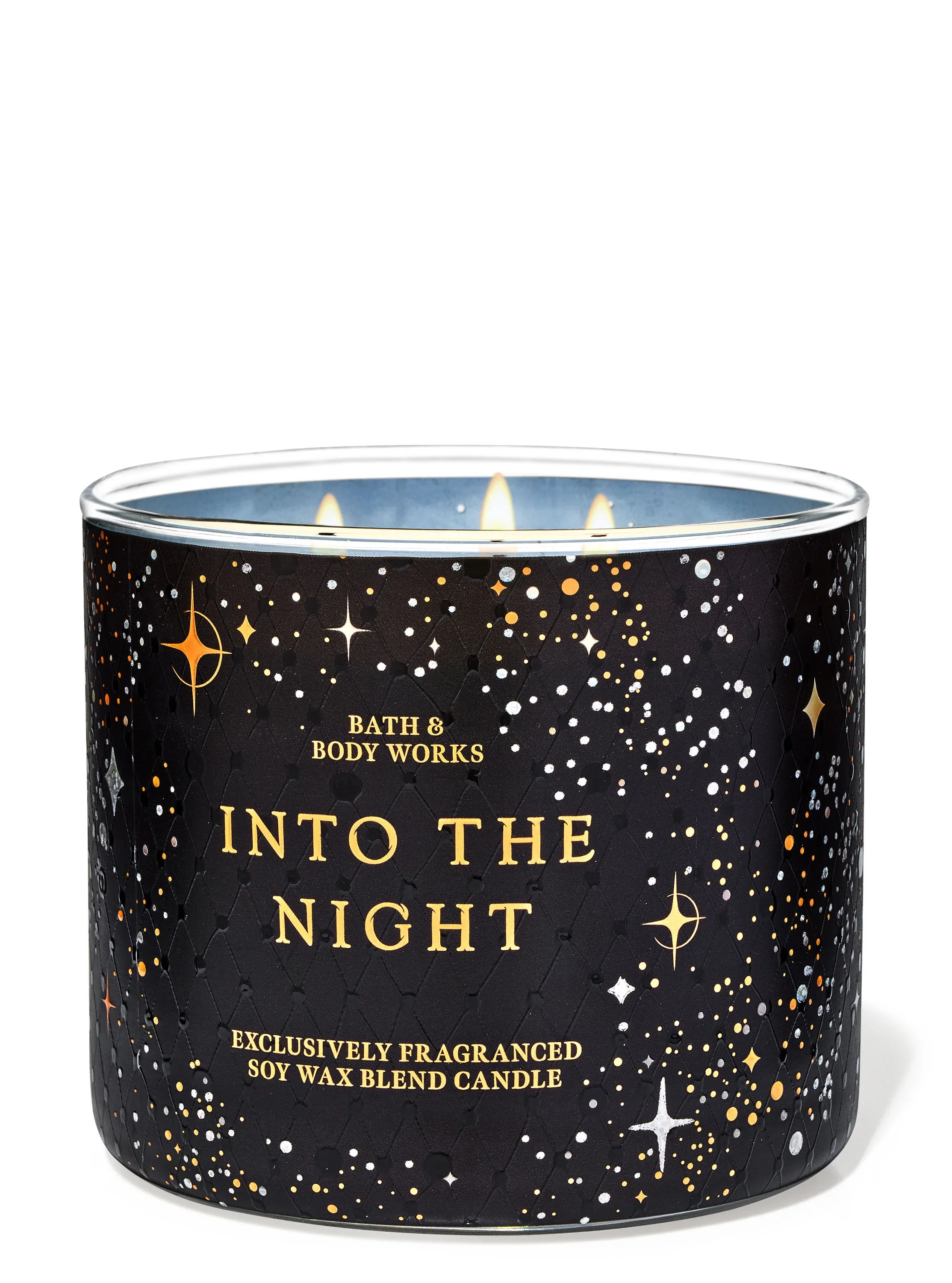 Into The Night By Bath & Body Works Scented Candle 411g