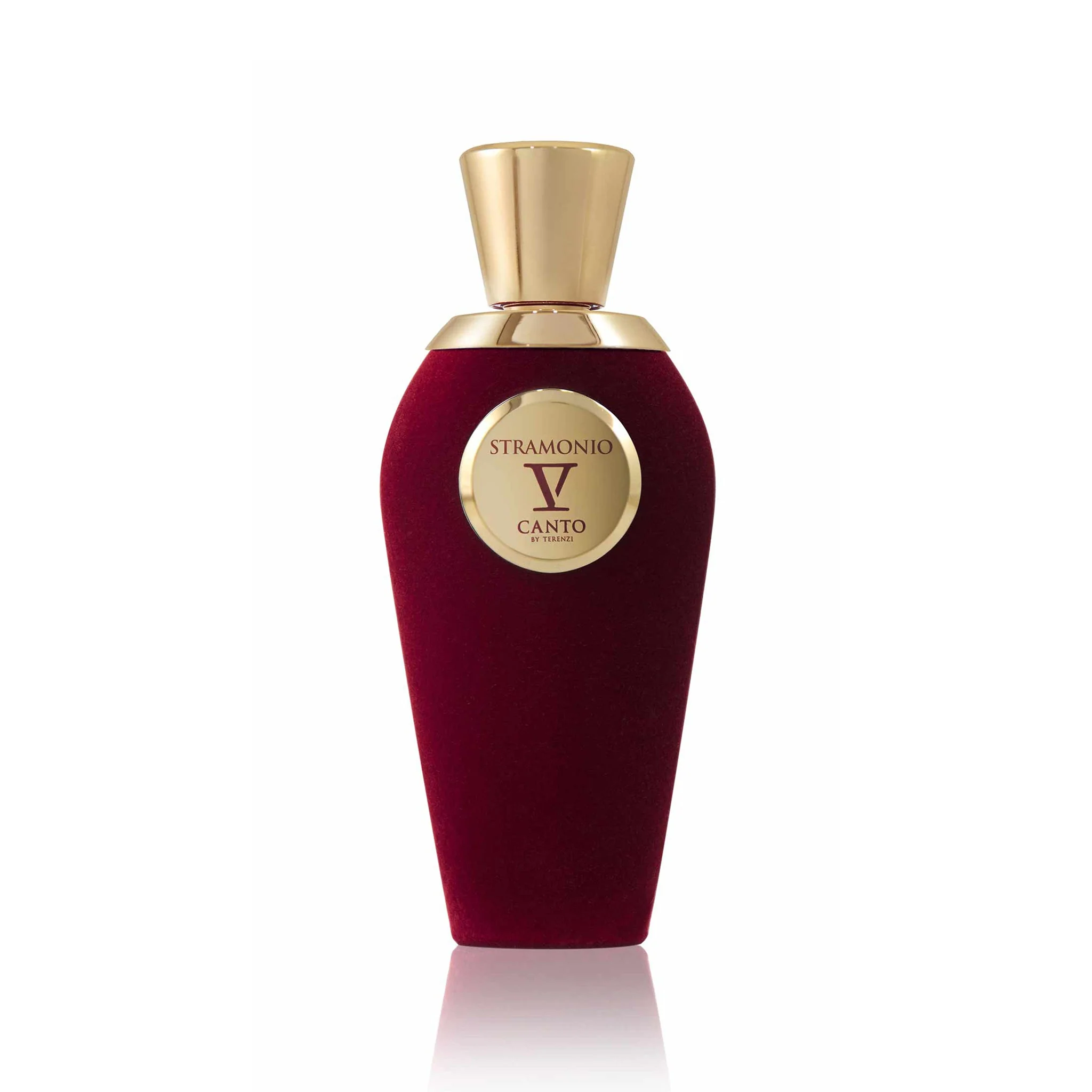 V Canto Stramonio Perfume For Unisex Extrait De Parfum 100ml